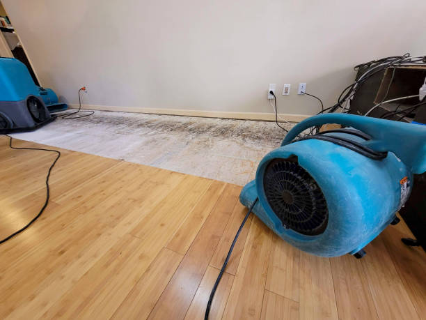 Professional Emergency Water Damage technician working in Jefferson, WI